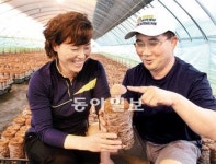 [황금알을 낳는 山] ‘톱밥 표고버섯’ 첫 도입 정의용-박은순 씨 부부