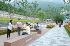 [대구/경북]서울에 가로수길 있다면 대구엔 맛둘레길이…