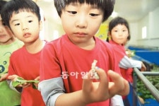 [대구/경북]“이거 먹는 거 아닌가”