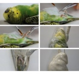 [영상] 죽은 새의 사체를 도자기로 구워낸 서민정展