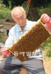 광주시양봉연구회(현성양봉원) | [광주/전남]평균연령 73세… 함평 107인의 실버 양봉단
