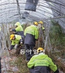 [Money&Life]세계가 인정한 ‘4大은행’… 서민을 보듬고, 밝은 내일의 꿈을 띄우다