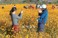 [인천/경기]“나 예뻐요?”