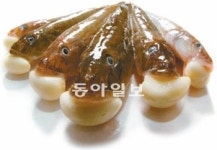 [O2]꽉 물어! Mr.망