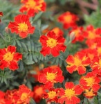 지리산 둘레길… 50km에 이르는 이틀간의 여정