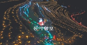 삼성전자보성군직매장유 | 20만개 전구 불밝힌 보성 녹차밭