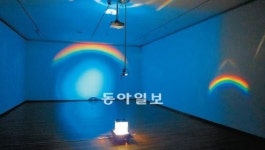 빛-소리-그림자 오감으로 체험