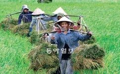 [TV 하이라이트]메콩강 주변 사람들 이야기