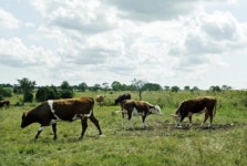 복지국가 스웨덴을 가다