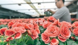 [수도권]누구 품에 안길까