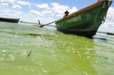 파라과이 죽음의 호수…인간의 욕심으로 인한 재앙