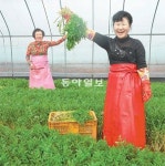 [대구/경북]“향긋한 봄을 맛보세요”