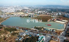 [대구/경북]지역 경제-문화 활성화 ‘비타민’