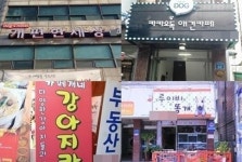 빵터지는 애견샵 이름, ‘개편한세상’? 왠지 욕같아서…