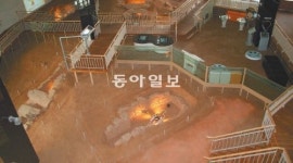 [수도권]고분을 통째로… ‘판교박물관’ 문 연다