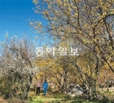 [LET´s/김화성 전문기자의&joy]구례 지리산둘레길을 걷다