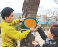 과천 별양동 공원 “우리동네 공원엔 126개 사연이 매달려 있어요”