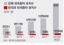 한의원, 의료한류 새 성장동력으로