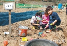 [대전/충남]“내가 도시 농사꾼”