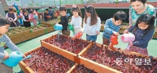 [부산/경남]“어린이집 옥상에 텃밭 만들었어요”