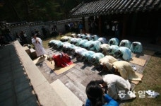 봄날 도산서원을 노닐며 도산별시를 추억하다
