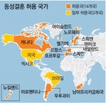 동성결혼 허용 물결, 뜨거운 지구촌