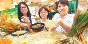 “햇보리 맛보세요”
