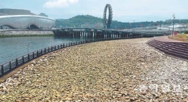 [광주/전남]작년 여수밤바다에 1500만명 취했다