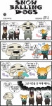 [스노 볼링 독스]7월 23일