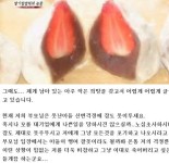 ‘딸기찹쌀떡의 눈물’ 두고 안씨 김씨 진실 공방 “누가 거짓말?”