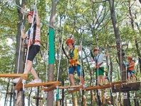 [부산/경남]“숲속을 걸어요”