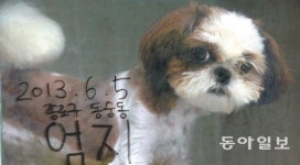 [수도권]“버림받은 상처, 사랑의 손길로 치유해주세요”
