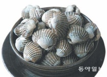 [지금이 제철]<55> 벌교 참꼬막