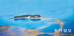 [대전/충남][충북][강원]바닷길 활짝… 무창포의 추석선물