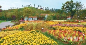 [광주/전남]순천의 정원엔 여유로운 가을이 거닌다
