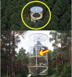 숲 속의 투명한 유리 집, 건물 내부에 커다란 나무 그대로....