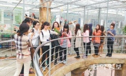 [대구/경북]“제 팔에 앉는 앵무새가 신기해요”