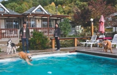 [참좋은 벗, 반려동물]마음이 따뜻해졌죠, 사랑스런 그들을 알아가면서…