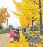 [대구/경북]한 폭의 수채화 같은 안동 월영공원