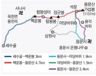 [김화성 전문기자의 &joy]양평 용문사 ‘샛노랗게 물들다’
