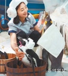 [수도권]“펭귄도 반신욕 해요”