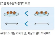 비교놀이는 유아수학의 출발점