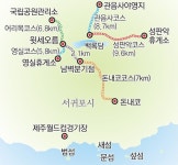 [김화성 전문기자의 &joy]서귀포에 봄처녀 오셨네!