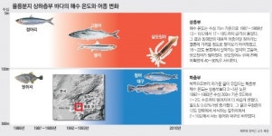 울릉분지 100m이하 해수온도 3∼4도 떨어졌다