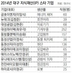 [대구/경북]대구시, IP 스타기업 12개 선정-육성