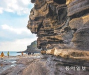 [제주]제주 용머리해안∼산방산 도보길 만든다
