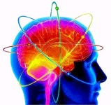 [책의 향기/글로벌 북 카페]이론 물리학의 대가 미치오 가쿠의 ‘마음의 미래’