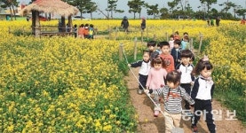 [대구/경북]“동심도 활짝 피었어요”
