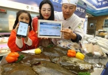 수산물도 이력제… 유통-판매 정보 한눈에