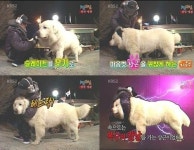 상근이 사망케 한 ‘비만세포종’ 초기 발견 어려워… 이유는?